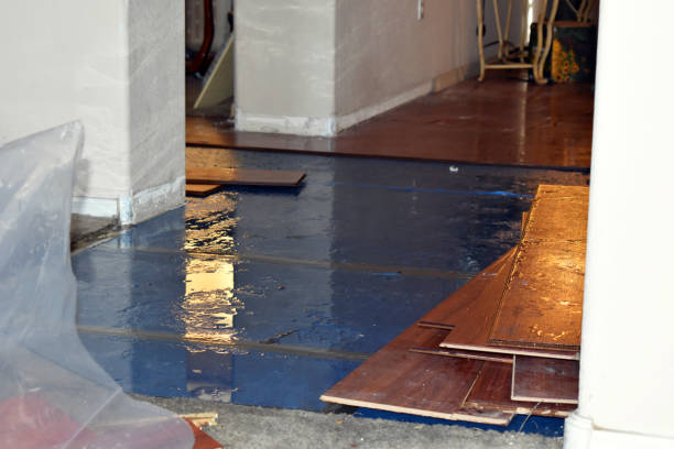 Professional Burst Pipe Cleanup technician working in Harmony, MN