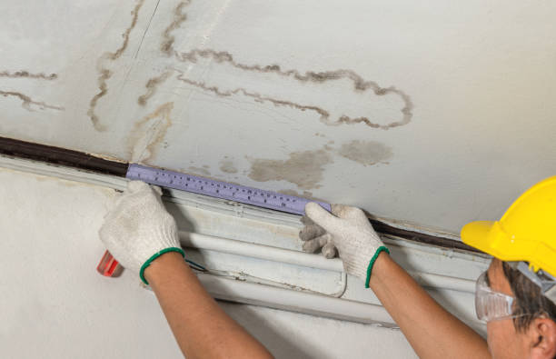 Reliable Burst Pipe Cleanup contractor in Harmony, MN by Water Damage Irwin